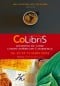 David Toscana au festival Colibris