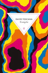 David Toscana au festival Belles latinas – Roanne
